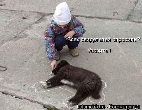 Котоматрица: 