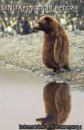 ... Котоматрица: