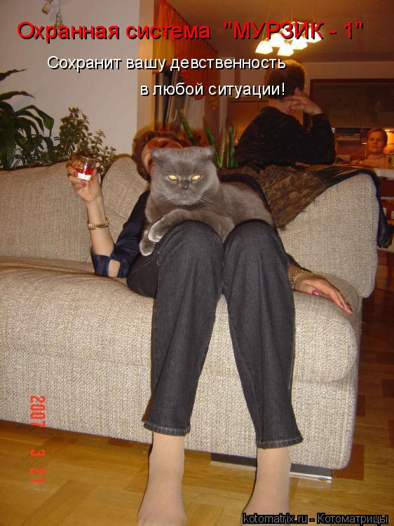 ... Котоматрица: