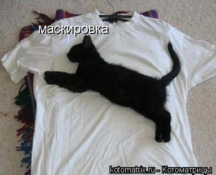 Котоматрица: 