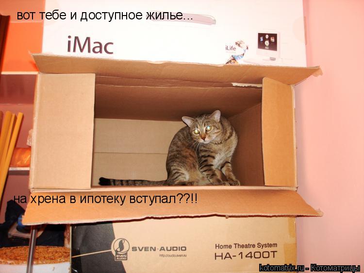 ... Котоматрица: