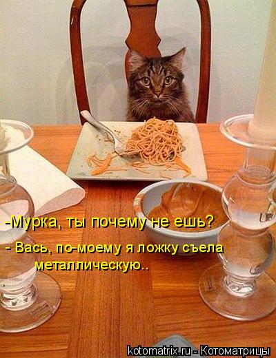 ... Котоматрица: