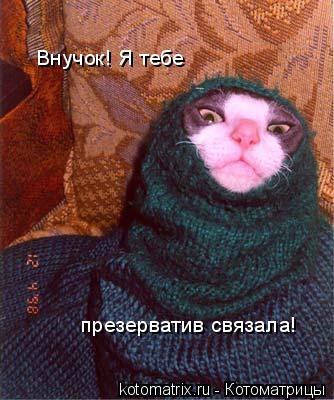 Котоматрица: 