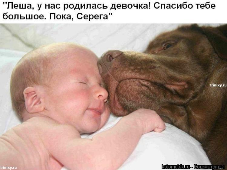 ... Котоматрица: