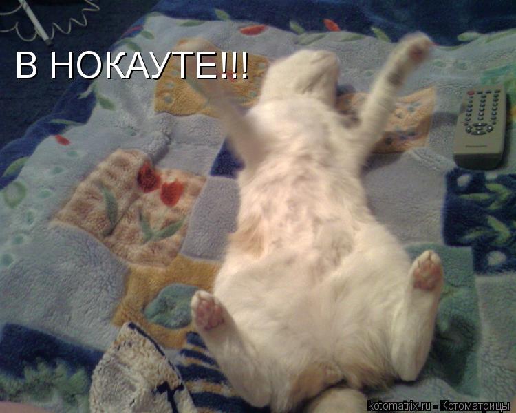 ... Котоматрица: