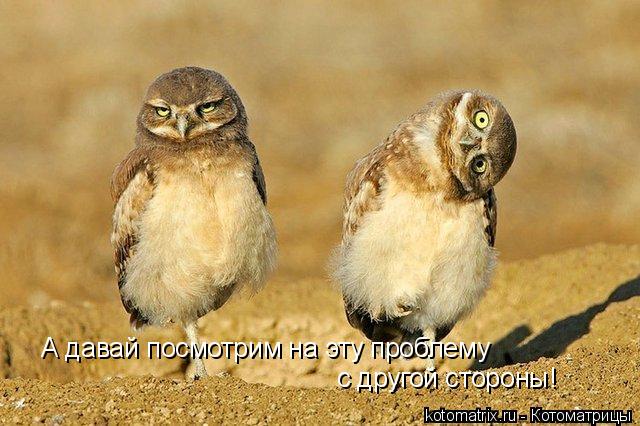 Котоматрица: 