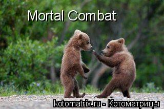 Mortal Combat... Котоматрица: Mortal Combat