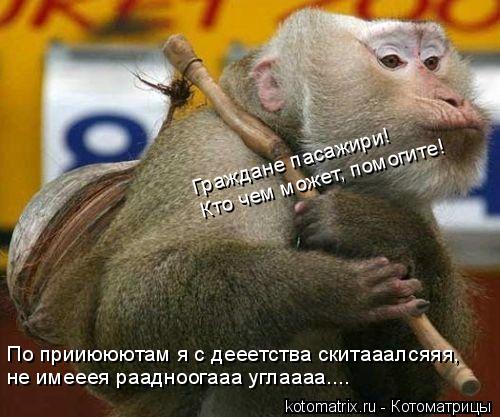 По прииююютам я с дееетства скитааалсяяя, не имееея раадноогааа углаааа.... Граждане пасажири! Кто че... Котоматрица: По прииююютам я с дееетства скитааалсяяя, не имееея раадноогааа углаааа.... Граждане пасажири! Кто чем может, помогите!