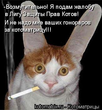-Возмутительно! Я подам жалобу в Лигу Защиты Прав Котов! И не надо мне ваших гонораров за котоматрицу... Котоматрица: -Возмутительно! Я подам жалобу в Лигу Защиты Прав Котов! И не надо мне ваших гонораров за котоматрицу!!!