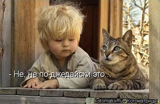 Котоматрица: - Не, не по-джедайски это...