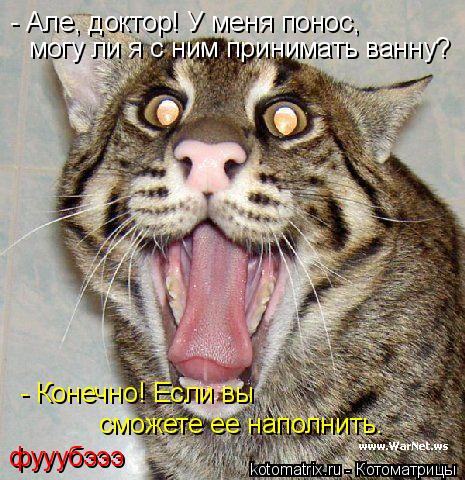 Котоматрица: - Але, доктор! У меня понос,  могу ли я с ним принимать ванну? - Конечно! Если вы сможете ее наполнить.  фууубэээ