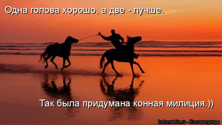 Котоматрица: Одна голова хорошо, а две - лучше.  Так была придумана конная милиция.))