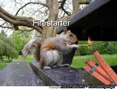 Firestarter... Котоматрица: Firestarter