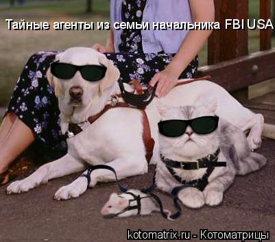 Тайные агенты из семьи начальника FBI USA......... Котоматрица: Тайные агенты из семьи начальника FBI USA......
