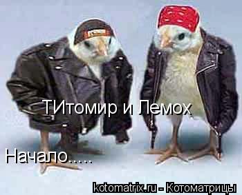 ТИтомир и Лемох Начало........ Котоматрица: ТИтомир и Лемох Начало.....