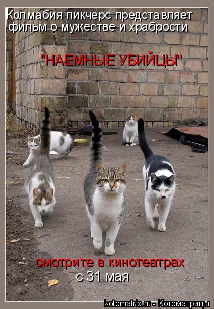 Котоматрица: Колмабия пикчерс представляет фильм о мужестве и храбрости "НАЕМНЫЕ УБИЙЦЫ" смотрите в кинотеатрах с 31 мая