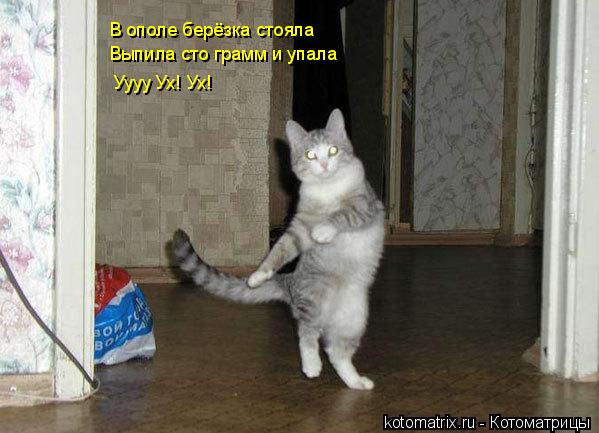 В ополе берёзка стояла Уууу Ух! Ух! Выпила сто грамм и упала... Котоматрица: В ополе берёзка стояла Уууу Ух! Ух! Выпила сто грамм и упала