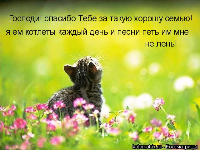 Господи! спасибо Тебе за такую хорошу семью! я ем котлеты каждый день и песни петь им мне не лень!... Котоматрица: Господи! спасибо Тебе за такую хорошу семью! я ем котлеты каждый день и песни петь им мне не лень!