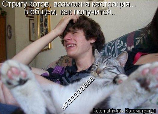 Котоматрица: Стригу котов, возможна кастрация...  в общем, как получится... мяaaaaaaaa