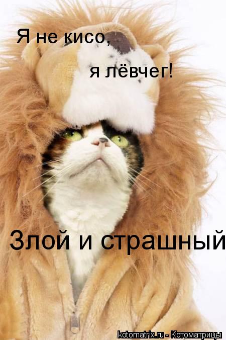 Я не кисо, я лёвчег! Злой и страшный!!!!... Котоматрица: Я не кисо, я лёвчег! Злой и страшный!!!!