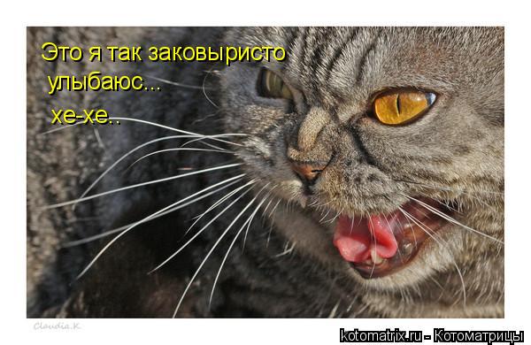 Это я так заковыристо улыбаюс... хе-хе..... Котоматрица: Это я так заковыристо улыбаюс... хе-хе..