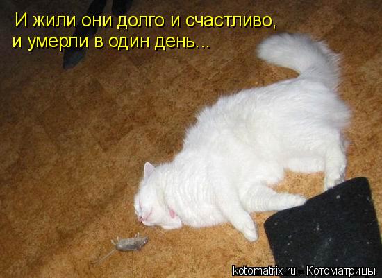 И жили они долго и счастливо, и умерли в один день...... Котоматрица: И жили они долго и счастливо, и умерли в один день...