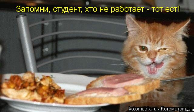 Запомни, студент, хто не работает - тот ест!... Котоматрица: Запомни, студент, хто не работает - тот ест!