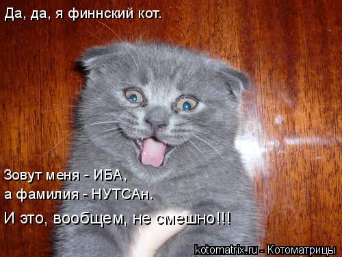Котоматрица: Да, да, я финнский кот. Зовут меня - ИБА, а фамилия - НУТСАн. И это, вообщем, не смешно!!!