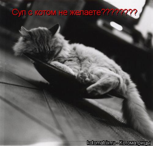 Котоматрица: Суп с котом не желаете????????