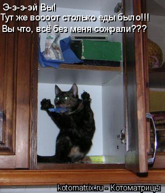 Э-э-э-эй Вы! Тут же воооот столько еды было!!! Вы что, всё без меня сожрали???... Котоматрица: Э-э-э-эй Вы! Тут же воооот столько еды было!!! Вы что, всё без меня сожрали???