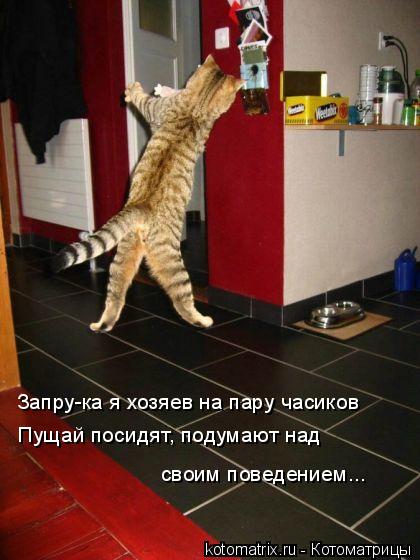 Котоматрица: Запру-ка я хозяев на пару часиков Пущай посидят, подумают над  своим поведением...