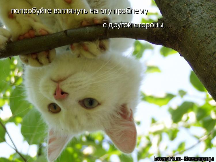 Котоматрица: попробуйте взглянуть на эту проблему  с другой стороны....