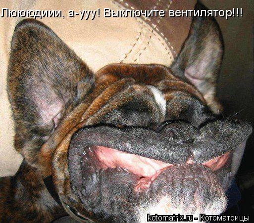 Люююдиии, а-ууу! Выключите вентилятор!!!... Котоматрица: Люююдиии, а-ууу! Выключите вентилятор!!!