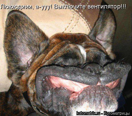 Котоматрица: Люююдиии, а-ууу! Выключите вентилятор!!!