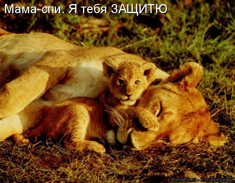 Мама-спи. Я тебя ЗАЩИТЮ... Котоматрица: Мама-спи. Я тебя ЗАЩИТЮ
