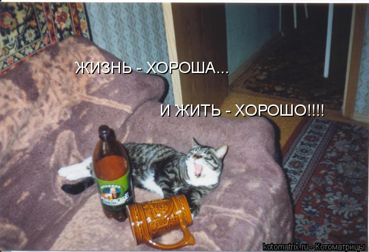 ЖИЗНЬ - ХОРОША... И ЖИТЬ - ХОРОШО!!!!... Котоматрица: ЖИЗНЬ - ХОРОША... И ЖИТЬ - ХОРОШО!!!!