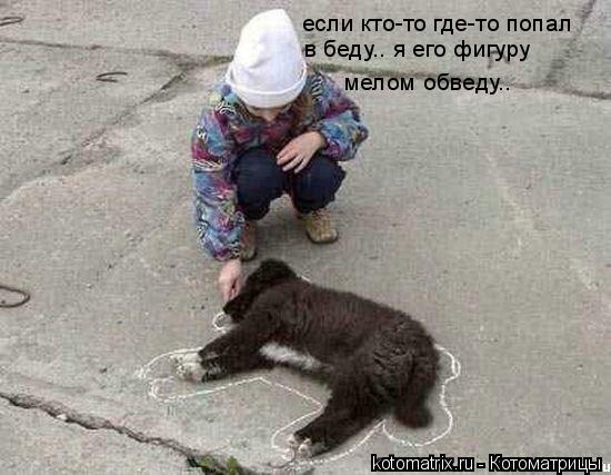 Котоматрица: если кто-то где-то попал в беду.. я его фигуру мелом обведу..