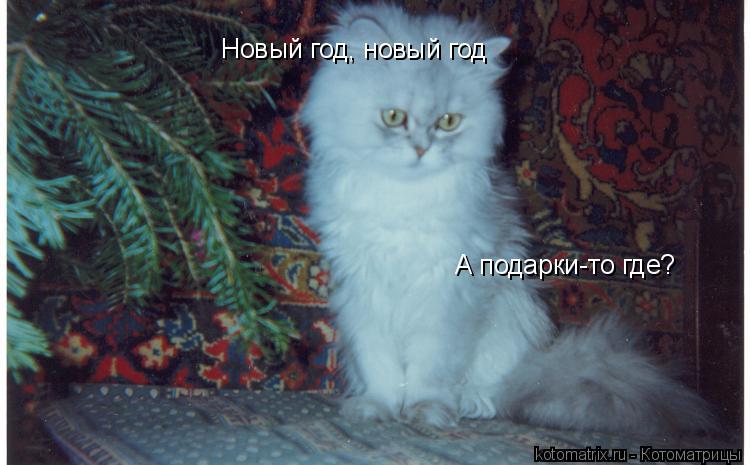 Котоматрица: Новый год, новый год А подарки-то где?