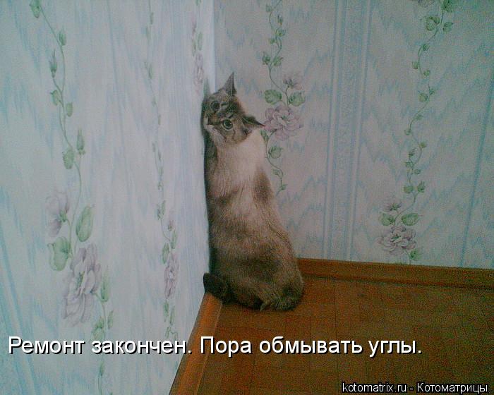 Ремонт закончен. Пора обмывать углы.... Котоматрица: Ремонт закончен. Пора обмывать углы.