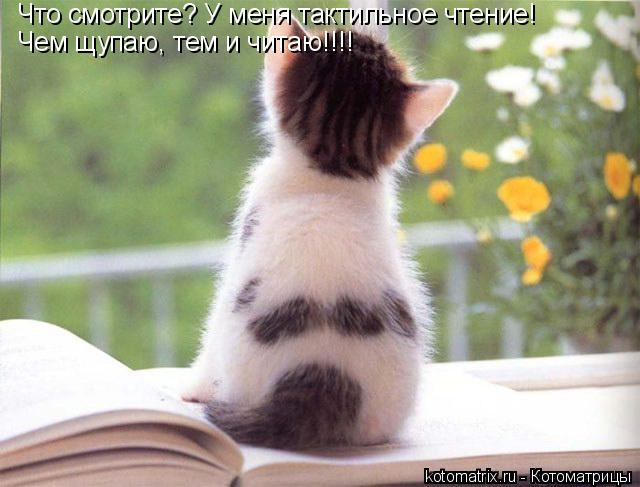 Что смотрите? У меня тактильное чтение! Чем щупаю, тем и читаю!!!!... Котоматрица: Что смотрите? У меня тактильное чтение! Чем щупаю, тем и читаю!!!!