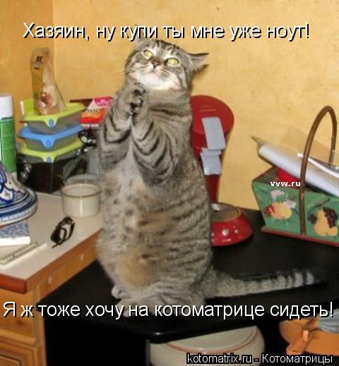 Хазяин, ну купи ты мне уже ноут! Я ж тоже хочу на котоматрице сидеть!... Котоматрица: Хазяин, ну купи ты мне уже ноут! Я ж тоже хочу на котоматрице сидеть!