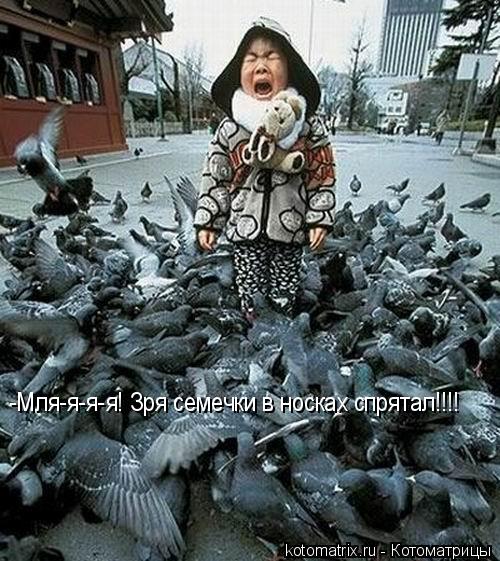 -Мля-я-я-я! Зря семечки в носках спрятал!!!!... Котоматрица: -Мля-я-я-я! Зря семечки в носках спрятал!!!!