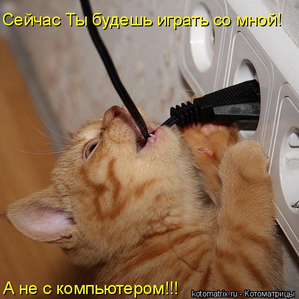 Котоматрица: Сейчас Ты будешь играть со мной! А не с компьютером!!!
