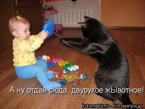 А ну отдай сюда, двурукое жЫвотное!... Котоматрица: А ну отдай сюда, двурукое жЫвотное!