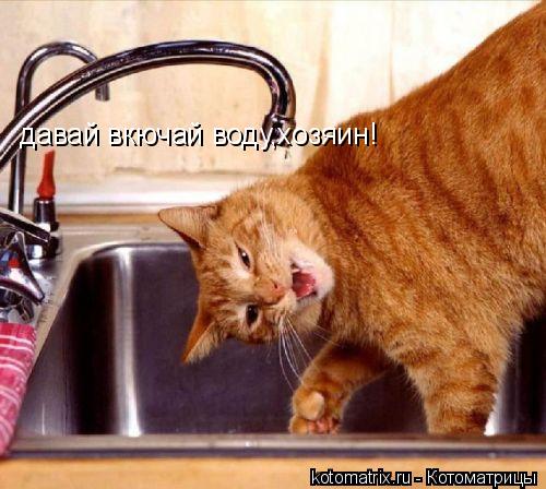 давай вкючай воду,хозяин!... Котоматрица: давай вкючай воду,хозяин!