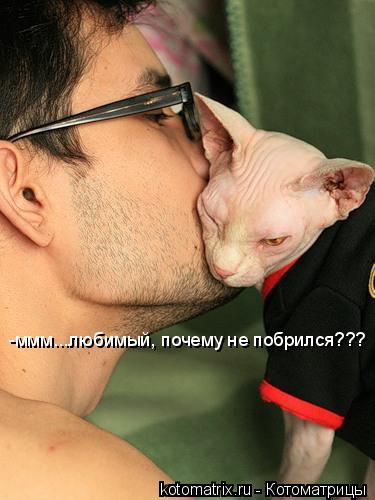 Котоматрица: -ммм...любимый, почему не побрился???