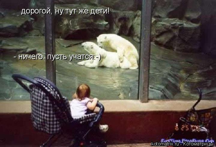 Котоматрица: дорогой, ну тут же дети! - ничего. пусть учатся:-)
