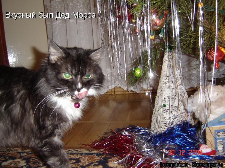 Котоматрица: Вкусный был Дед Мороз