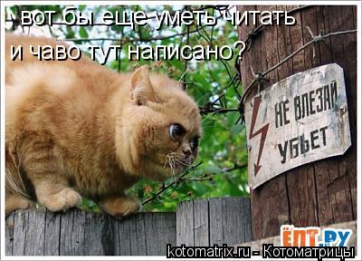 вот бы еще уметь читать и чаво тут написано?... Котоматрица: вот бы еще уметь читать и чаво тут написано?