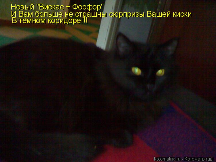 Новый "Вискас + Фосфор" И Вам больше не страшны сюрпризы Вашей киски В тёмном коридоре!!!... Котоматрица: Новый "Вискас + Фосфор" И Вам больше не страшны сюрпризы Вашей киски В тёмном коридоре!!!